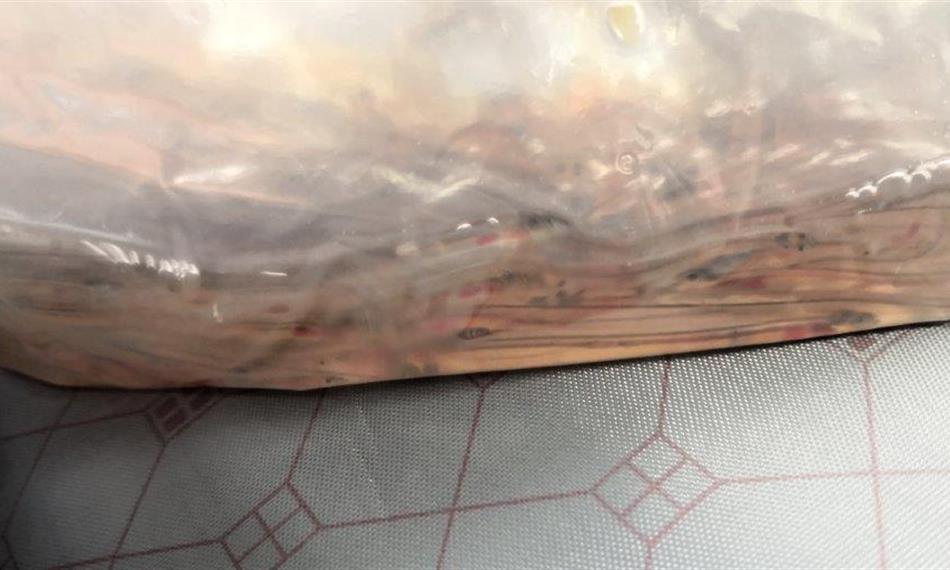 2019-5-30-831foto 6.jpg